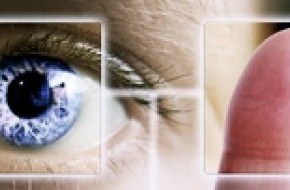 Supporting Sensory Health in Young&nbsp;Children