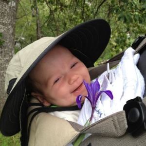 Iris w wild iris 3.31.13